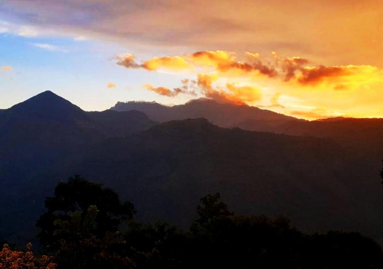 छात्रावास Dream