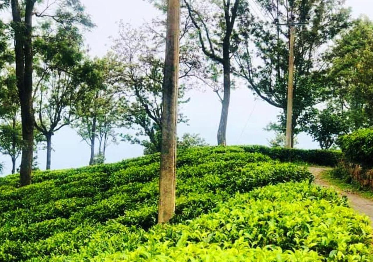 छात्रावास Dream